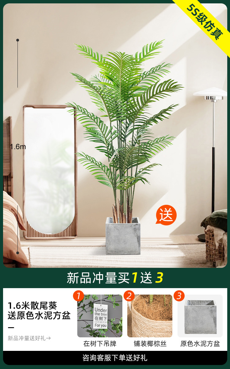 1.6 m 느슨한 말미잘 [1 차 색 시멘트 사각 분지 보내기]]