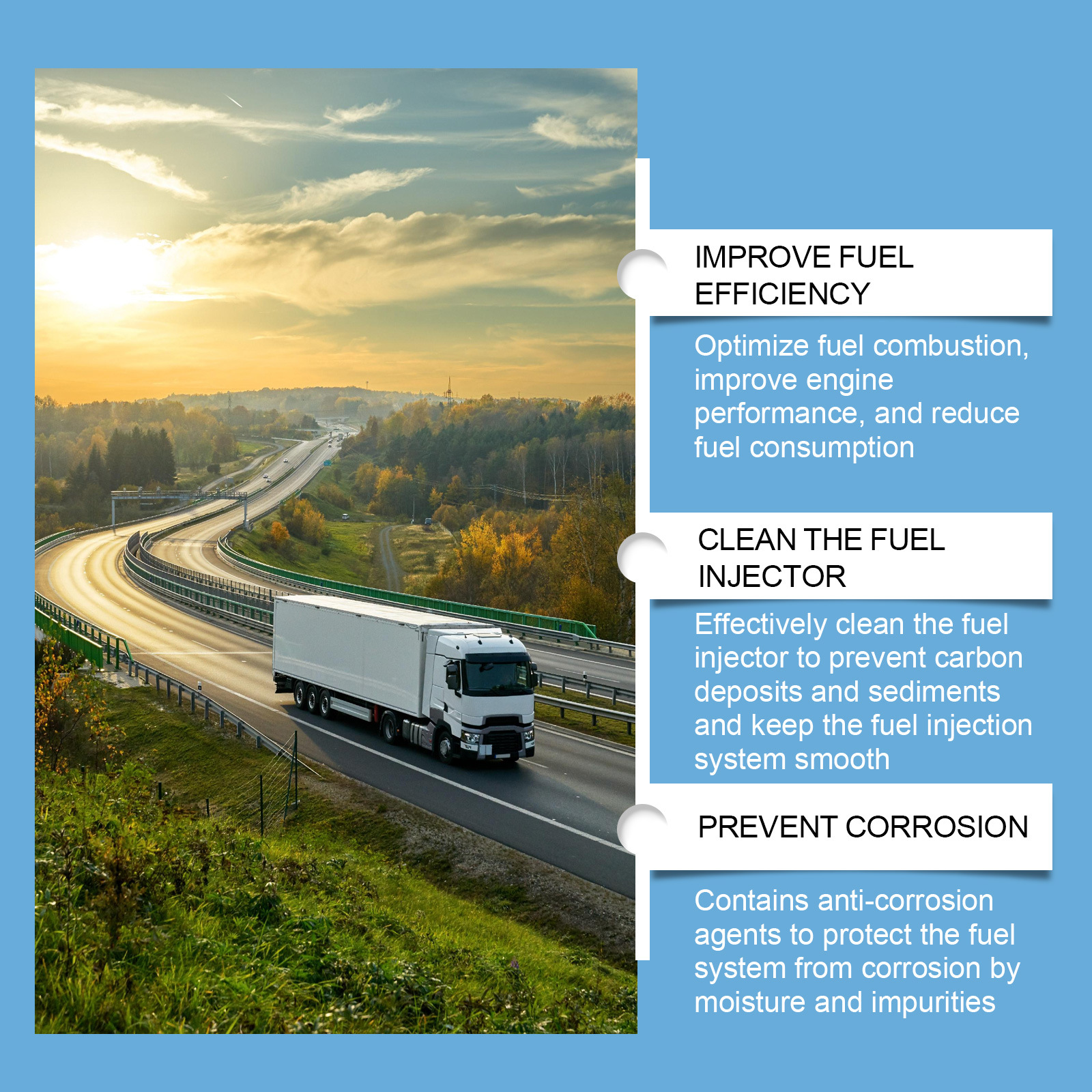 Rayhong Automotive Diesel Additive Car Power Increase Fuel Efficiency Cleaning Agent