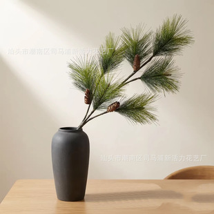 �S�����l����PVC�Rβ�� ���R�d���~�pɫ����҃ȾGֲ������ᘻ�ˇ