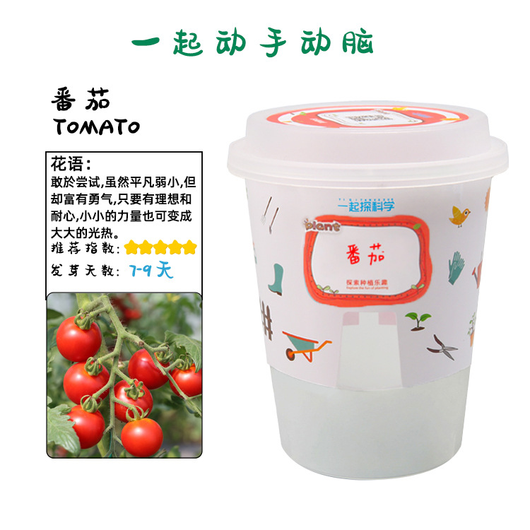 Juguetes educativos para niños al por mayor experimento científico traje kindergarten DIY hecho a mano Tecnología pequeña producción material regalo