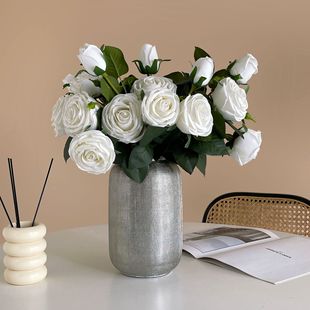 ���滨 �Ҿ��^�z���^�ָб���õ�� ���滨����cõ���҃��bٻ�