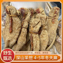 天麻野生冬材林正旗舰店西藏干片新鲜粉非天麻野生冬材