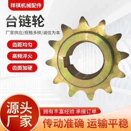 传动链轮双排链轮传动件机械链轮带台双排链轮钢双排链轮片定 制