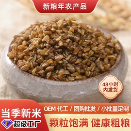 豆类;麦类;其他五谷杂粮