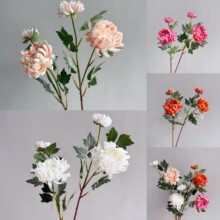 2�^��Ʒ�|EVA�ʹڴ����� ����ջ�������滨�Ҿ��b[����ˇ