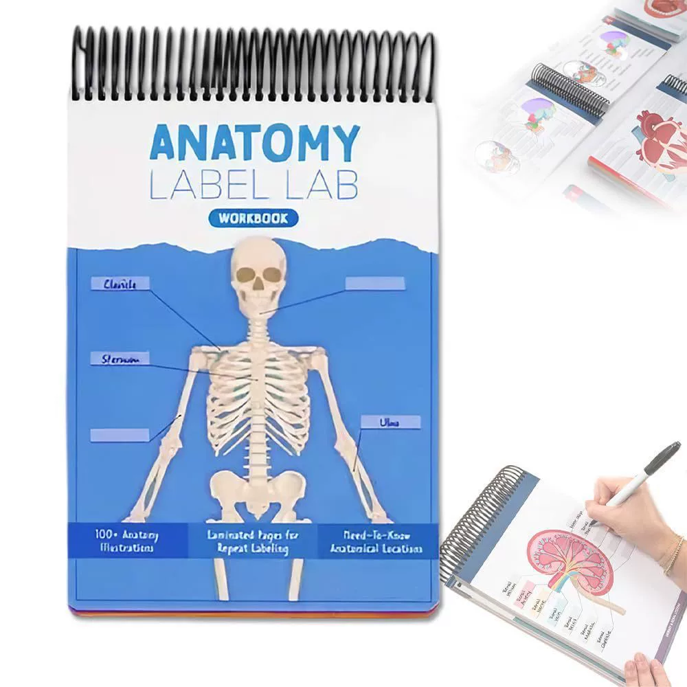 Рабочая тетрадь Anatomy Label Lab, спираль, ламинированные страницы для повторной маркировки, 27×17,5×2 см