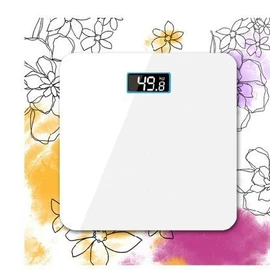 体重秤;智能体重秤;其他秤