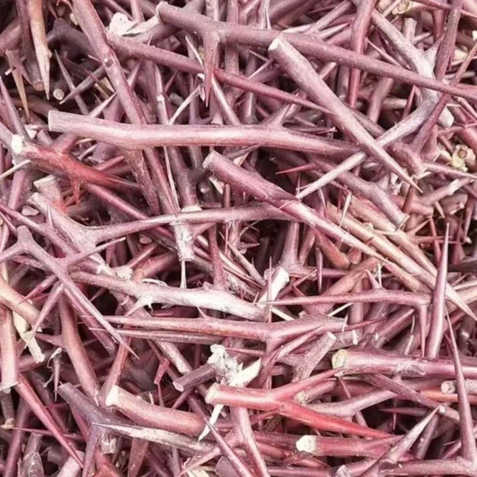 Dried Gleditsia Thorn Slices Zao Jiao Ci 500g Traditional Chinese Herbal Decoction Pieces key features