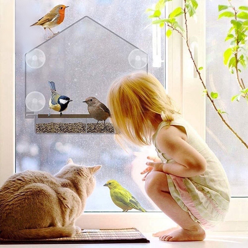 Acrylic parrot bird cage cross-border bird feeder bird feeder transparent wall-mounted bird cage bird villa cage 4