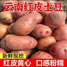 ����������r�F�ڼtƤ�S������10/3��С�����N�������r���ԷN���l