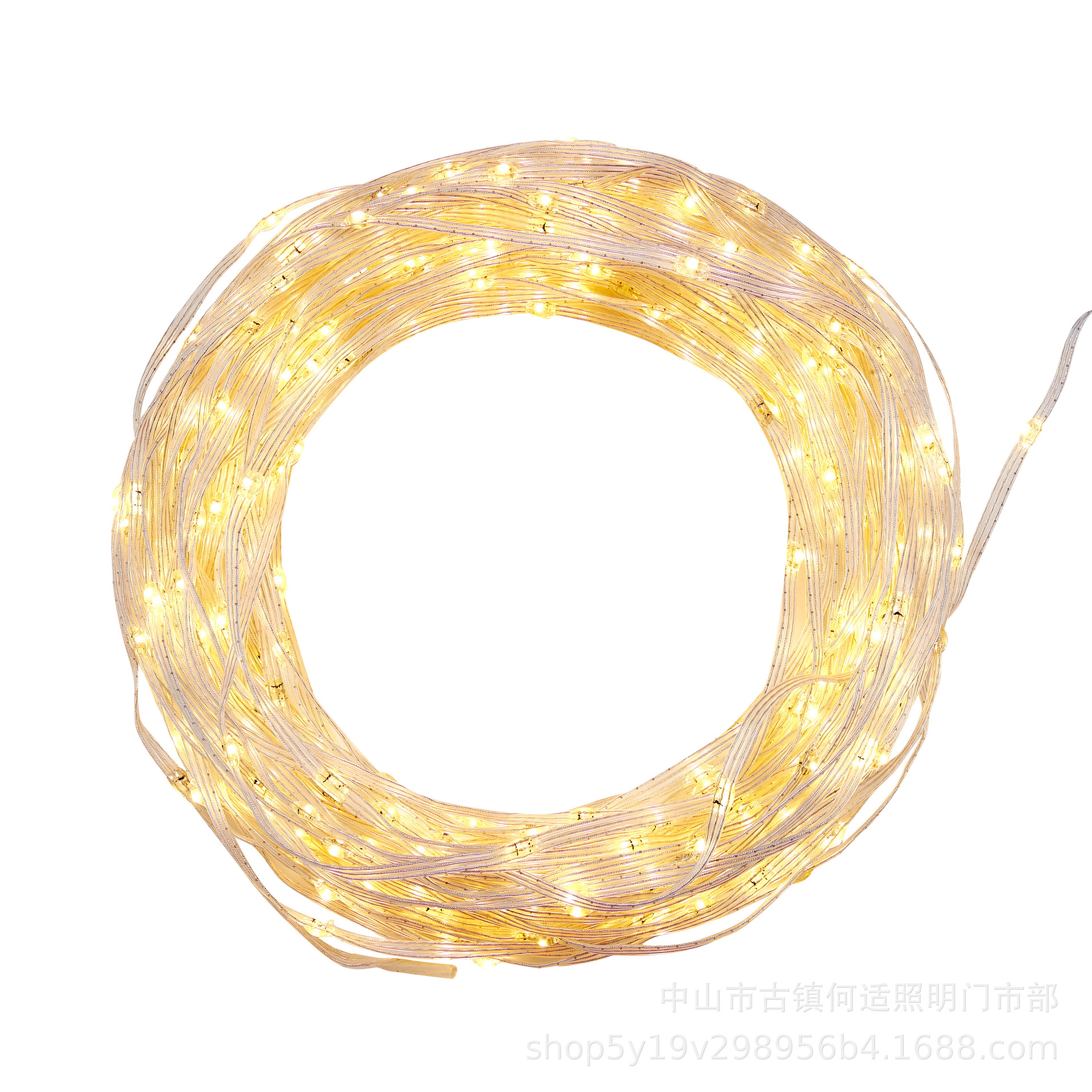 新款LED皮线灯 满天星小彩灯闪灯串灯户外防雨水低压24V树灯串