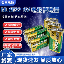 批发9v电池万用表烟雾报警器体温枪电池6F229v方块电池厂家直销