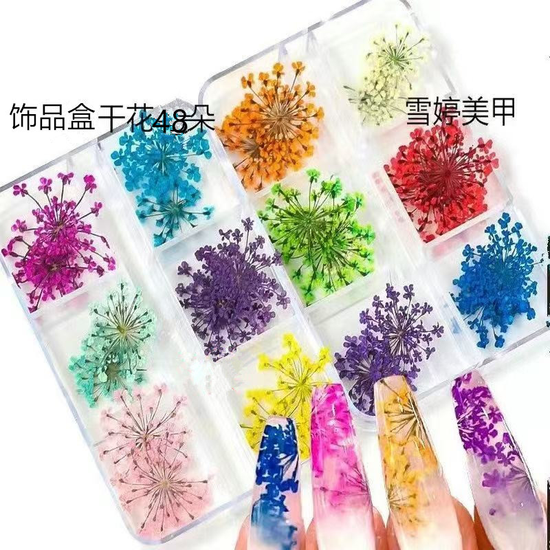 跨境美甲装饰干花美甲森系满天星12格48朵装真花美甲饰品指甲贴纸