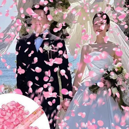 浪漫花瓣礼花礼炮直播间 KTV氛围礼花结婚礼炮喷花筒手持彩炮礼花|undefined