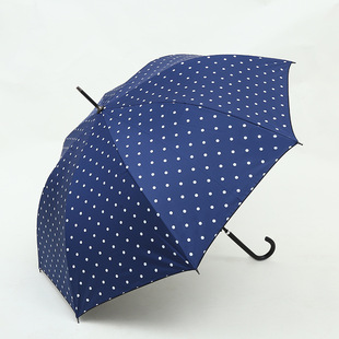 СºzСcc ⾀ꖂ ۯB