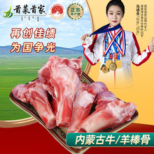 首菜牛肉羊棒骨烧烤牛骨牛骨髓食材锡盟黄牛肉草原草原散养牛肉