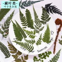 ާ�~�����~diyֲ����˱������z�֙C����޹Ϟ�T�������l