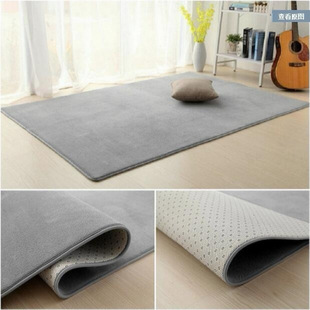 Simple Coral Velvet Carpet, Living Room Coffee Table Floor Mat, Home Room, Bedroom Bedside, Cute and Cute