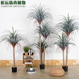 ���W�L���Q���控��Gֲ�b�͏d�S��ֱ�N�ɏ������w������Ѫ��