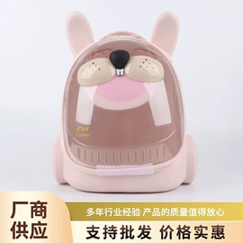 狗狗清洁;口腔清洁;宠物梳子