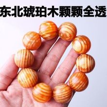 �|��������ȫ͸���ִ��L��ɽ����ľ����Ѫ��ľ������������2.0��