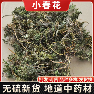 С����һ���ꎵ�ާ�߲�Ҋ���_���uꎵ���С�������l��ș��С����