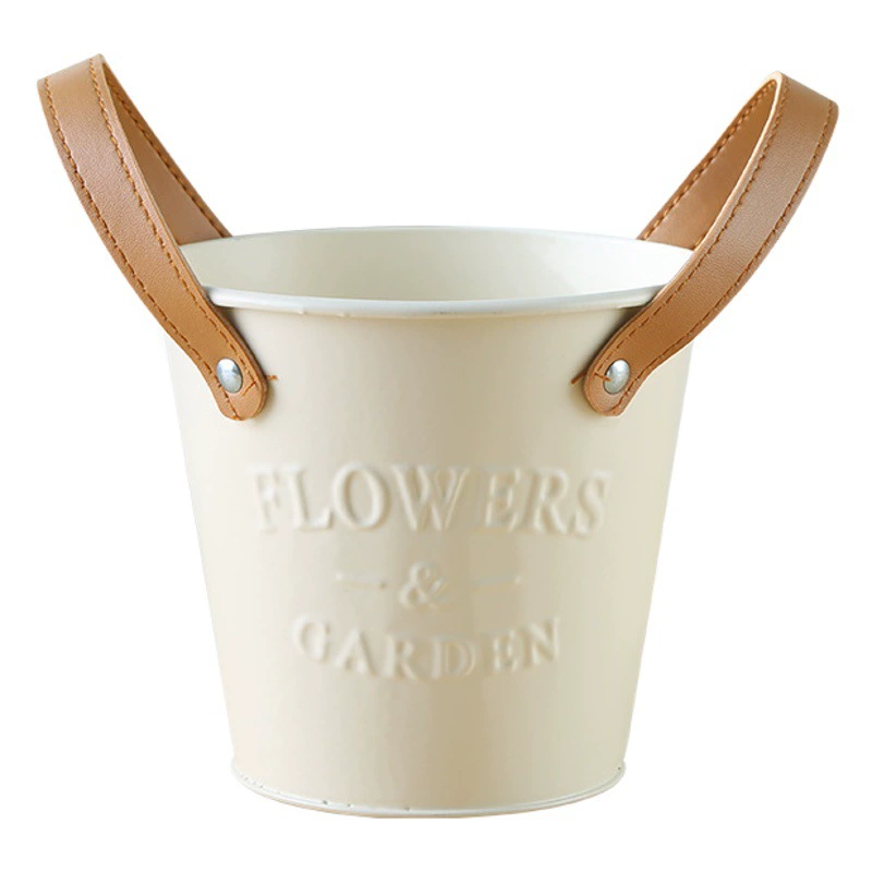 Скандинавский бежевый металлический маленький железный горшок с балконным мясом