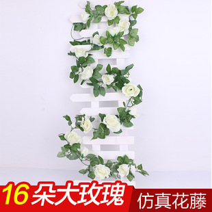 �S��ֱ�N����õ�廨�ٽ�����c16�^��ٻ��b��ٻ��������Ʒ���l