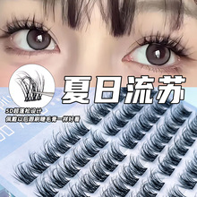 5D�������Kë�q�q�������ٽ�ë��y�зֶ�ʽ�����pӯ��Ȼ����δ�