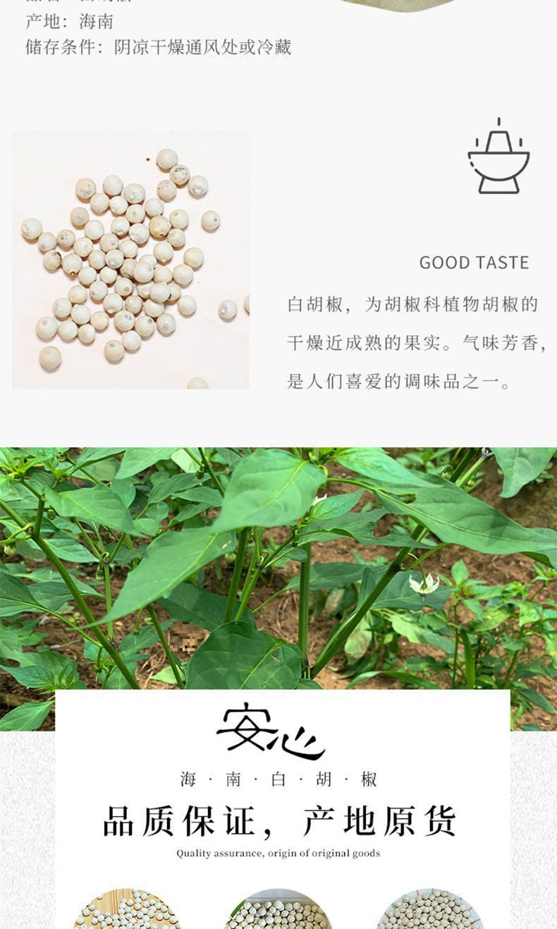 White Pepper Whole Peppercorns Bai Hu Jiao 50g Culinary Spice for Soups Marinades and Seasoning key features