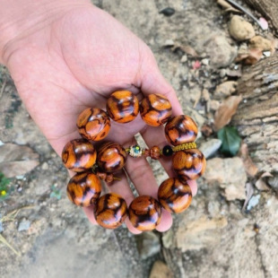 �S�Һ����S���潵�㺣�SҎ��2.5�����ִ��S�׹�Ę����x�y�������l