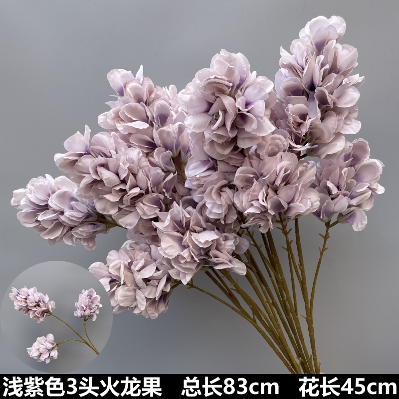 꽃색  연한 보라색 3머리 용과