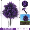 Purple eucalyptus ground nails