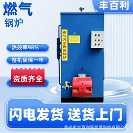 蒸汽发生器;燃煤锅炉;燃气锅炉