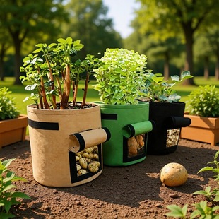 �����Nֲ��ë�ַNֲ���o�����Nֲ����ֲ����������������NֲͰ