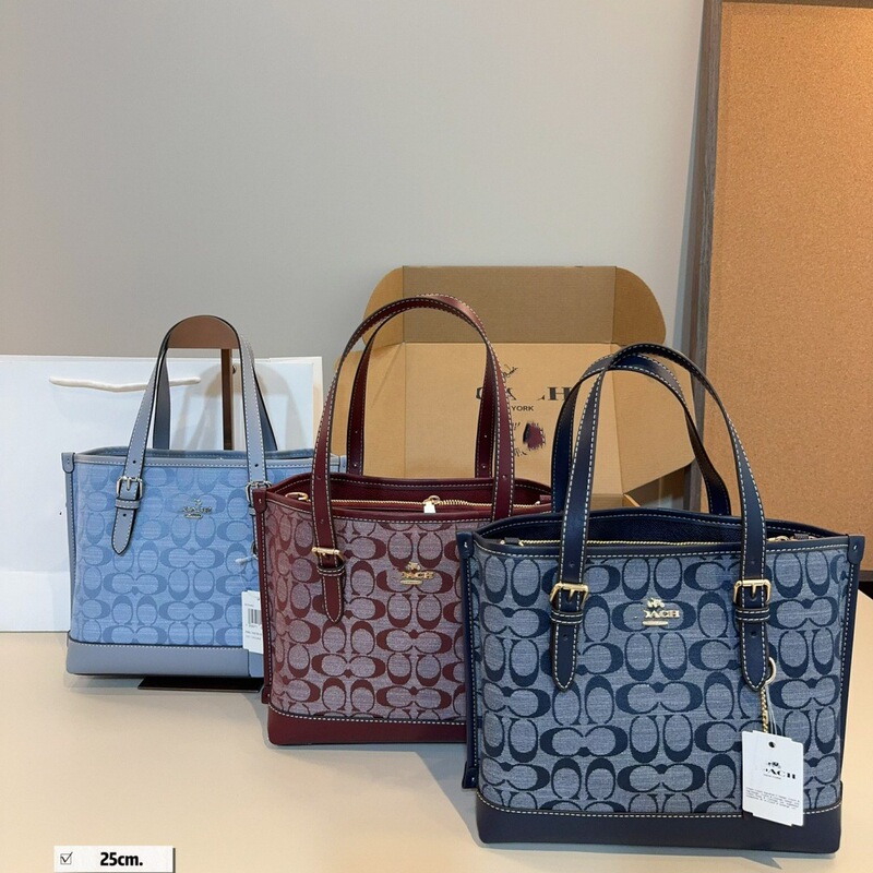 Coach Genuine Leather Lv Women's Bag Molly 25 Chanel Jasmine Tote Bag Handbag Shopping Bag Basket Bag