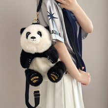 ���ȴ���؈�p����Ĵ���؈���ط�����ż��ë�q���ЌW�������YƷ