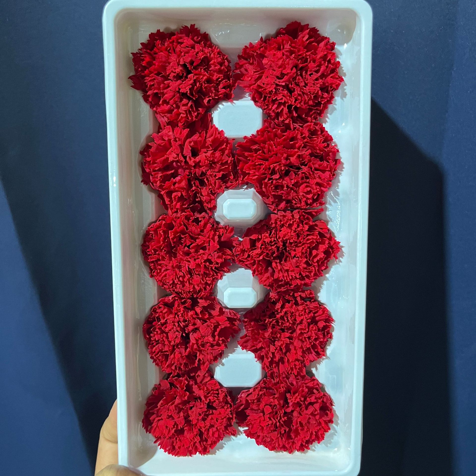 Cabezas de Claveles Preservadas A+, 4-5 cm, Paquete de 8, Arte Floral DIY, Caja de Regalo Educativa, Día de la Madre, Venta al por Mayor de Fábrica