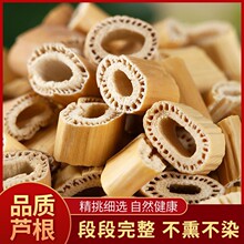 手工清理芦根去除泥沙净货花草茶铺长期囤货草本配料