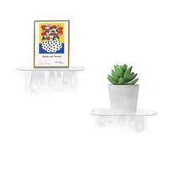 家庭用品の売れ筋透明アクリル製の小さな壁棚は、家庭の壁に適しており、鉢植えの収納やディスプレイに使用できます。