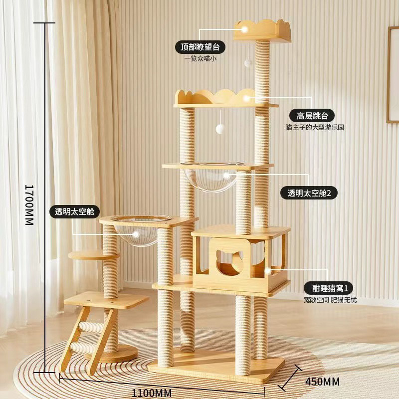 윤두묘 7층