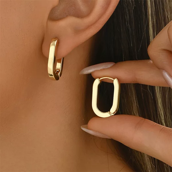 European and American Best-Selling Stainless Steel Oval Earrings and Earrings for Women, Curved Simple Ins-Plated 18K Gold Classic Earrings