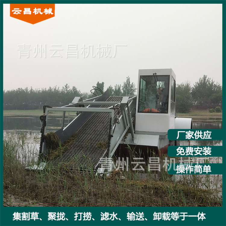 水面清草保洁船 水浒苔水草打捞船 河道水葫芦杂草垃圾打捞机械