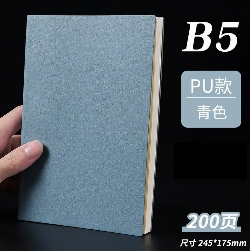 B5 시안(사진 100장, 200페이지)