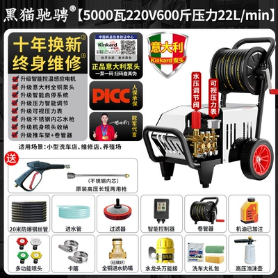 Black Cat High-Pressure Car Washer Car washing machine - italian-brand-pump5000w-220v-300kg-pressure-22l-flow-rate-20m-hose-high-pressure-coiled-hose-version