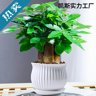 �lؔ��С���Ի��ܾGֲ���k���҃�����ȩ�G�}����ˮ������B���