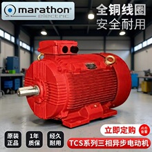 ����marathon�R�������ஐ���T�F����늄әCTCSϵ�� IE3 380V 4KW