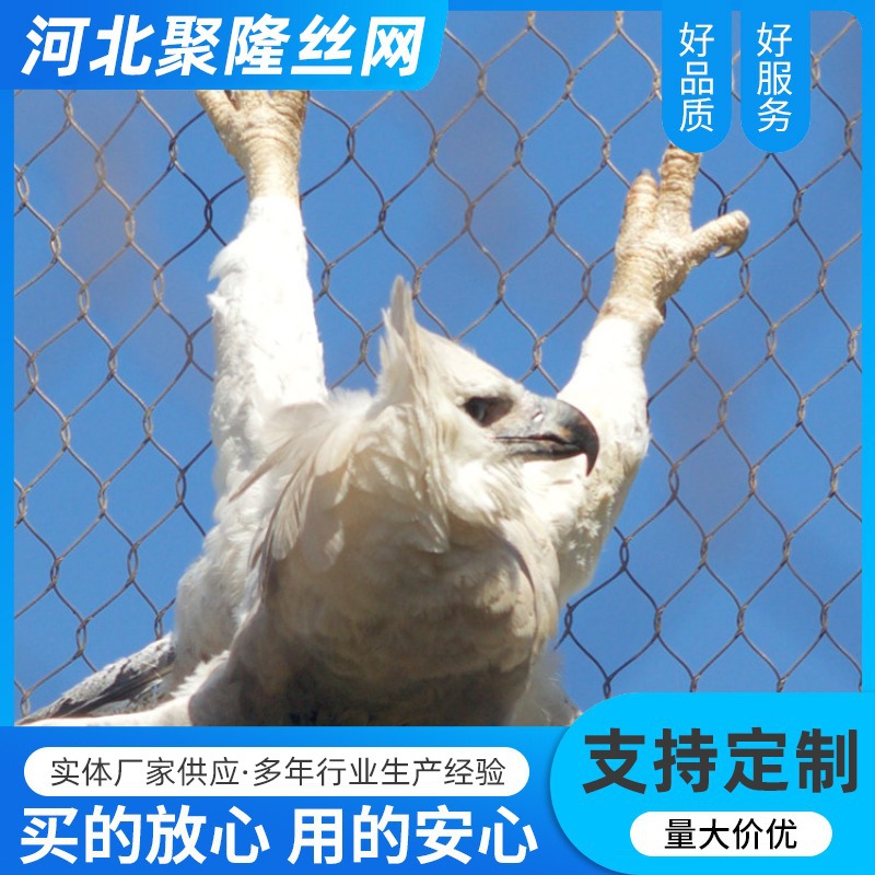 不锈钢绳网动物园百鸟园不锈钢防护网松鼠跑道网防坠网高空防护