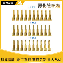 Nozzle Pwk Sudco 泡沫管改装件8 16 30孔全系列 雾化管喷嘴 油器