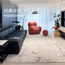 无胶防水抗污客厅地毯意式轻奢现代灰色简约高级感沙发卧室床边毯